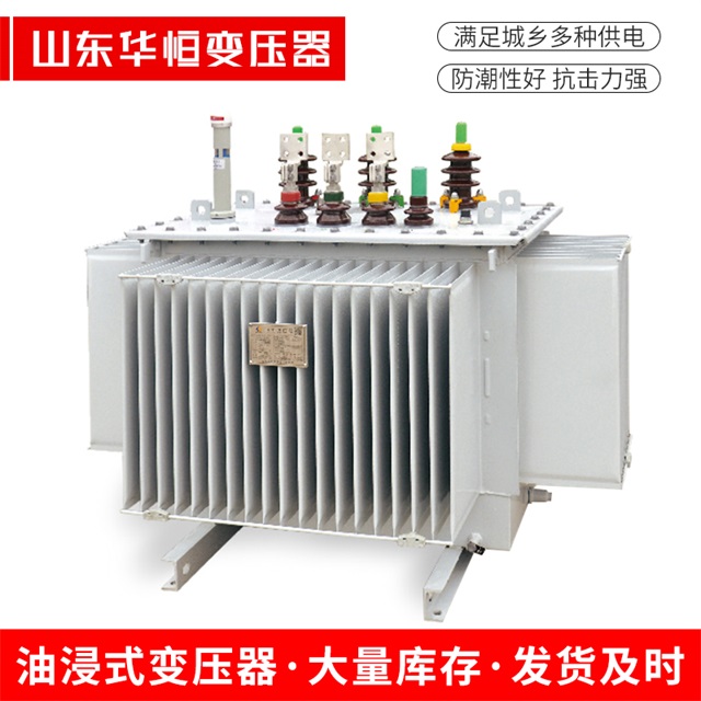 S13-10000/35依安依安依安电力变压器
